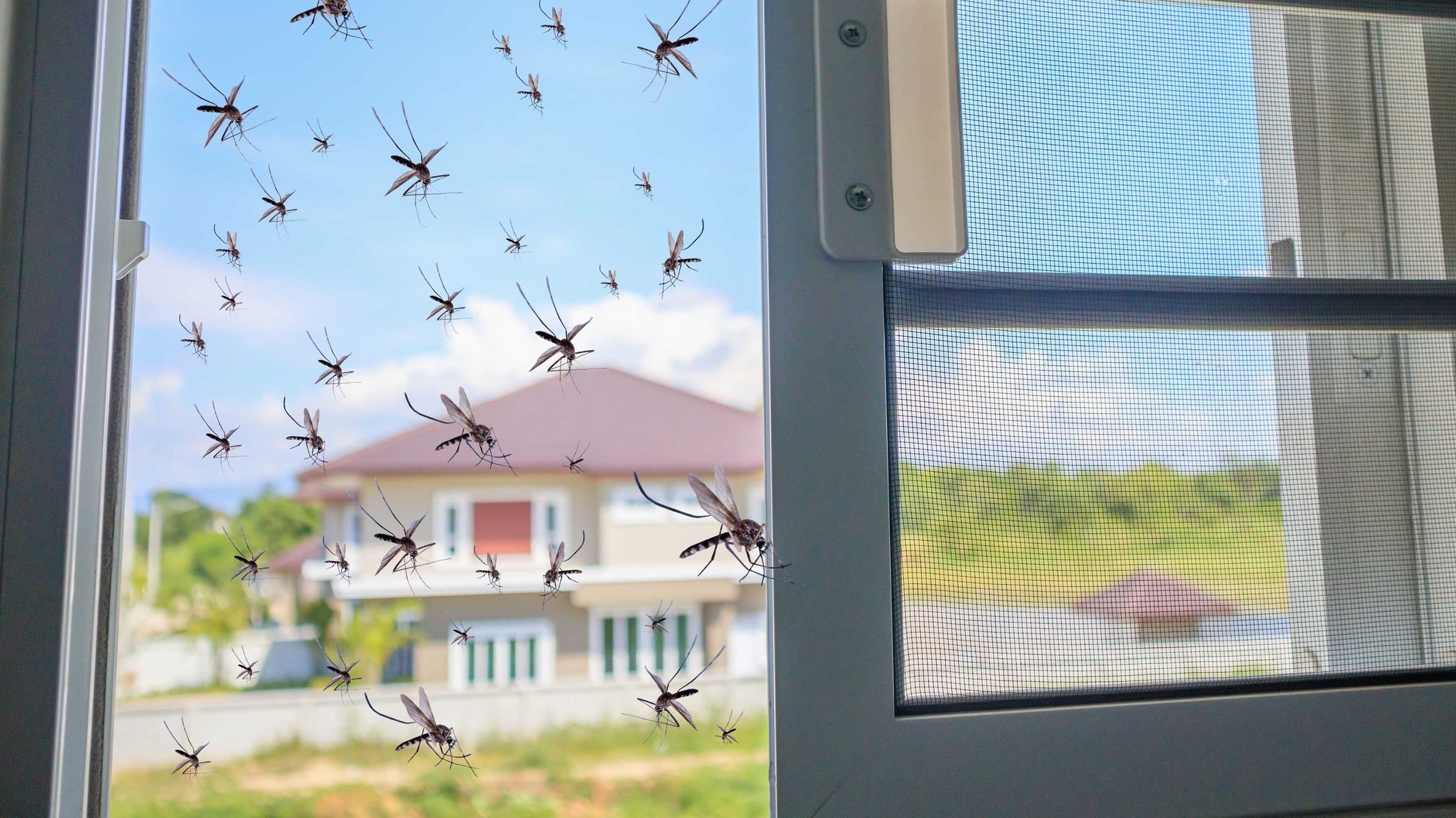 GO Insect schützt Sie vor lästigen Mücken